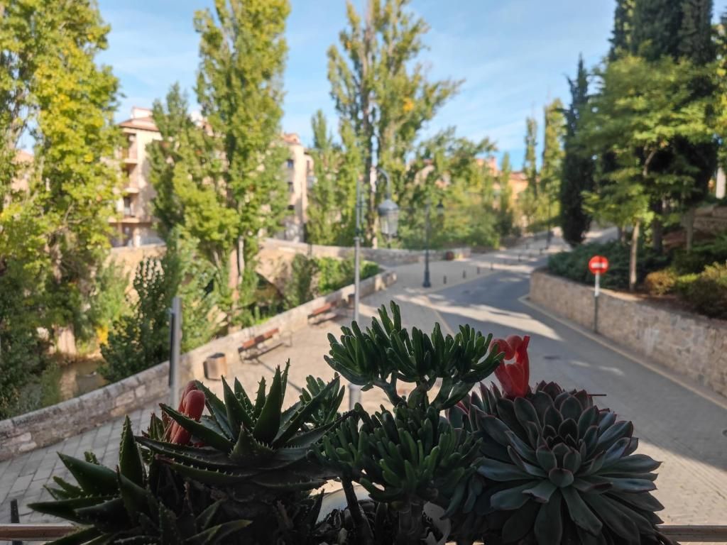Un puente sobre un río con exuberante vegetación y edificios al fondo en un día soleado.