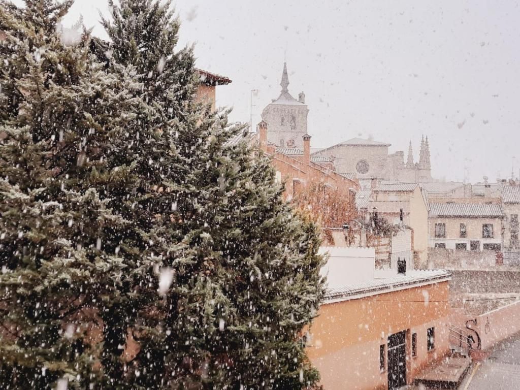 Nieve cayendo sobre edificios y árboles; catedral distante al fondo.
