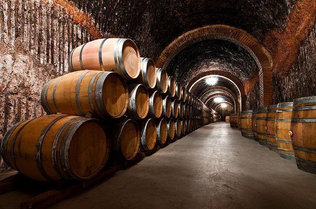 Los barriles de vino se alinean a lo largo de un pasillo arqueado de ladrillo que conduce a la bodega.