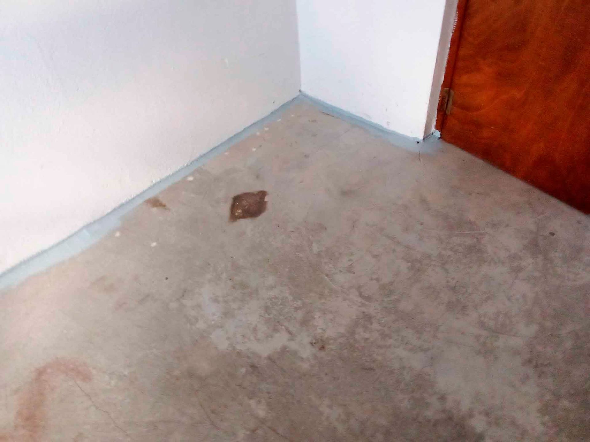 Una habitación con suelo de hormigón y una puerta de madera.