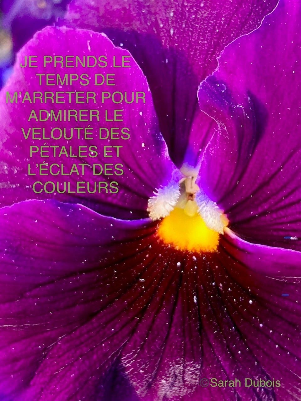 Rêver Être Devenir | Sarah Dubois | Psychologue FSP | Pully