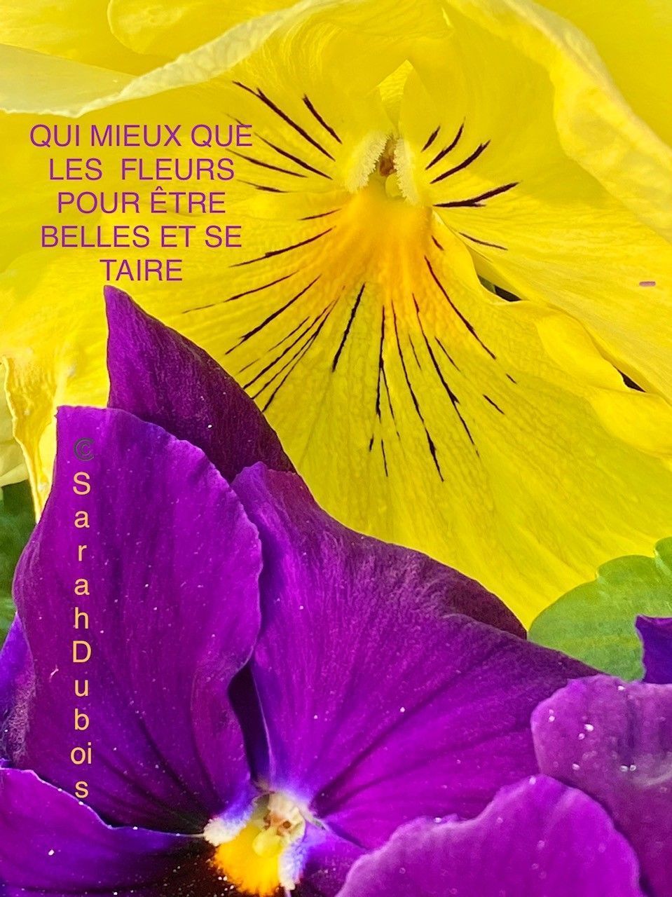 Rêver Être Devenir | Sarah Dubois | Psychologue FSP | Pully