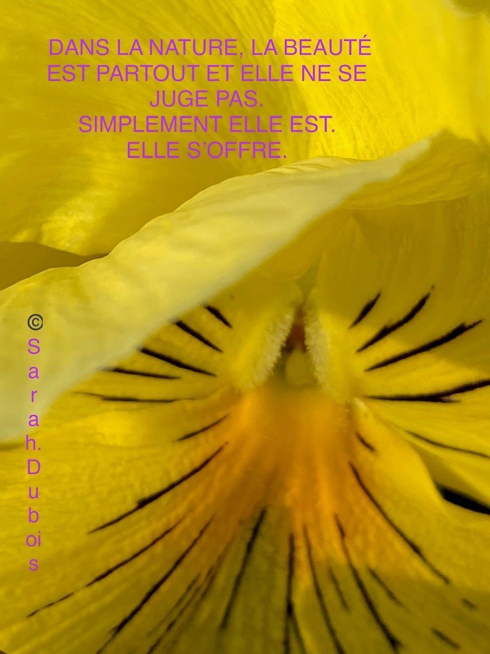 Rêver Être Devenir | Sarah Dubois | Psychologue FSP | Pully