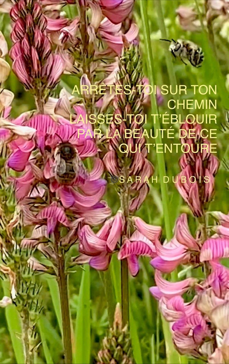 Rêver Être Devenir | Sarah Dubois | Psychologue FSP | Pully