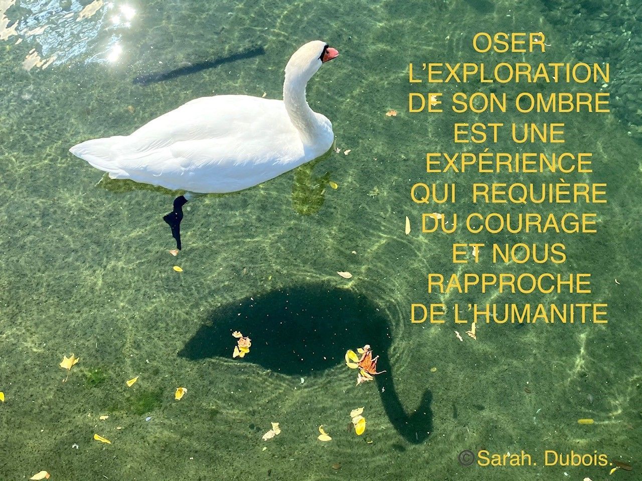 Rêver Être Devenir | Sarah Dubois | Psychologue FSP | Pully