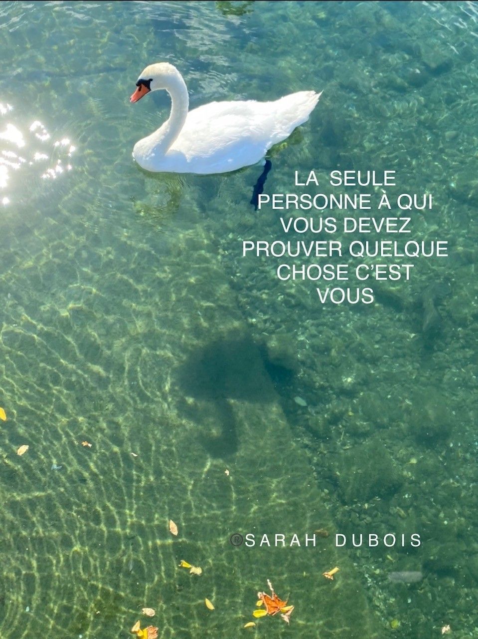Rêver Être Devenir | Sarah Dubois | Psychologue FSP | Pully