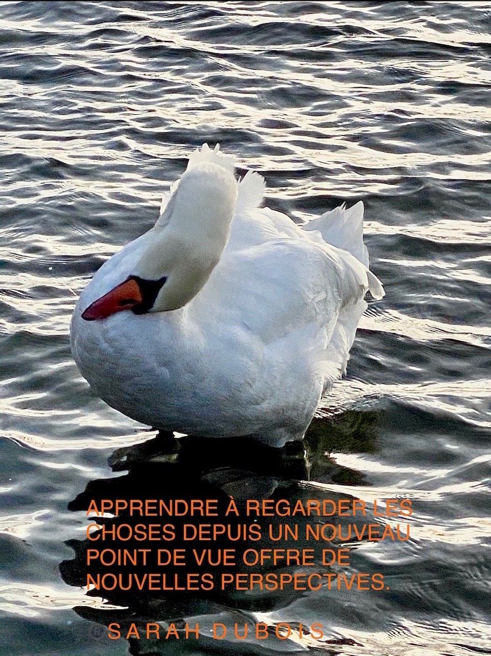 Rêver Être Devenir | Sarah Dubois | Psychologue FSP | Pully