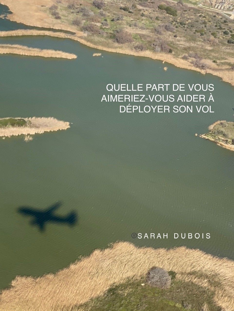 Rêver Être Devenir | Sarah Dubois | Psychologue FSP | Pully