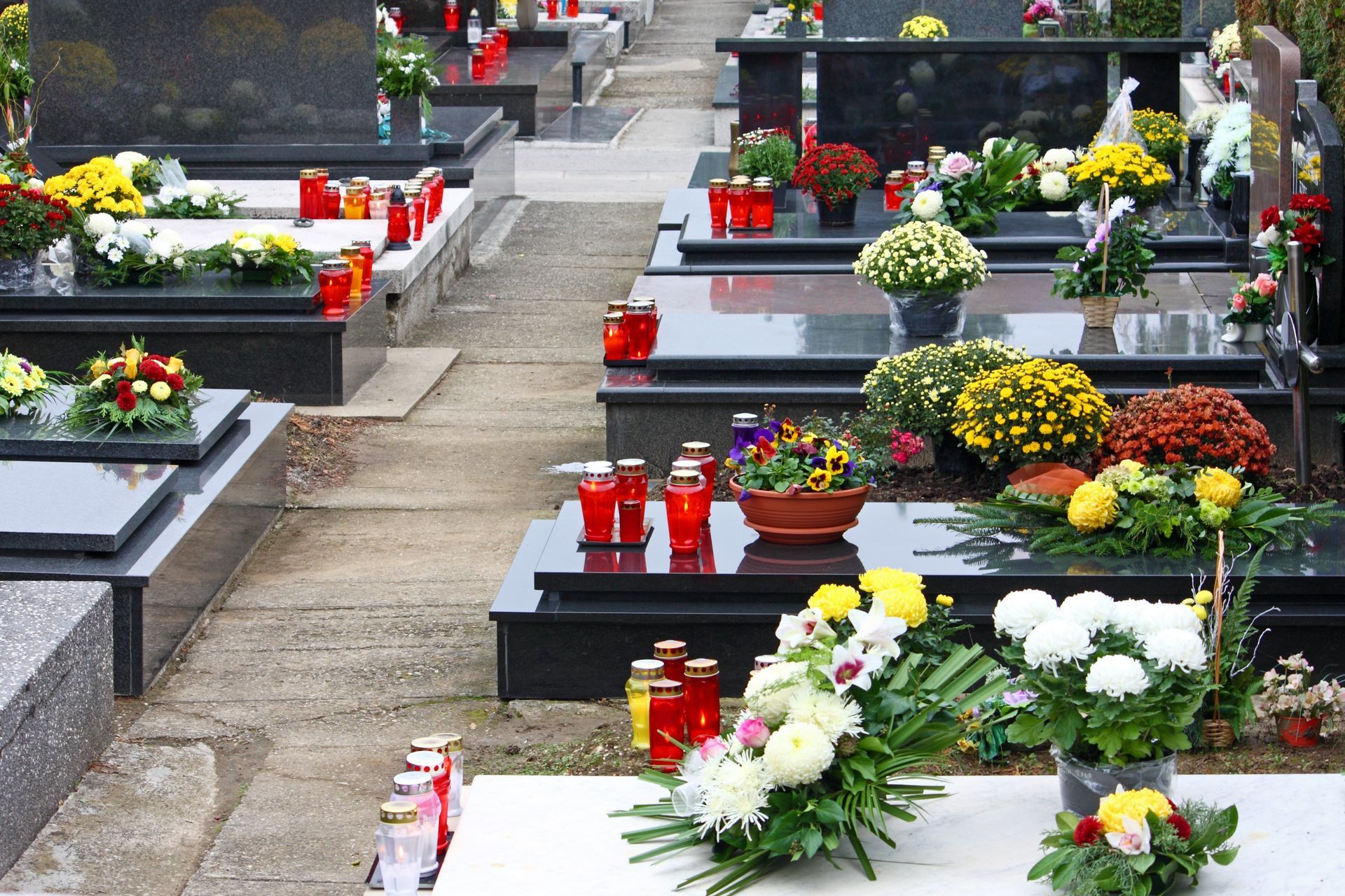 Des rangées de tombes ornées de fleurs colorées et de bougies rouges dans un cimetière.