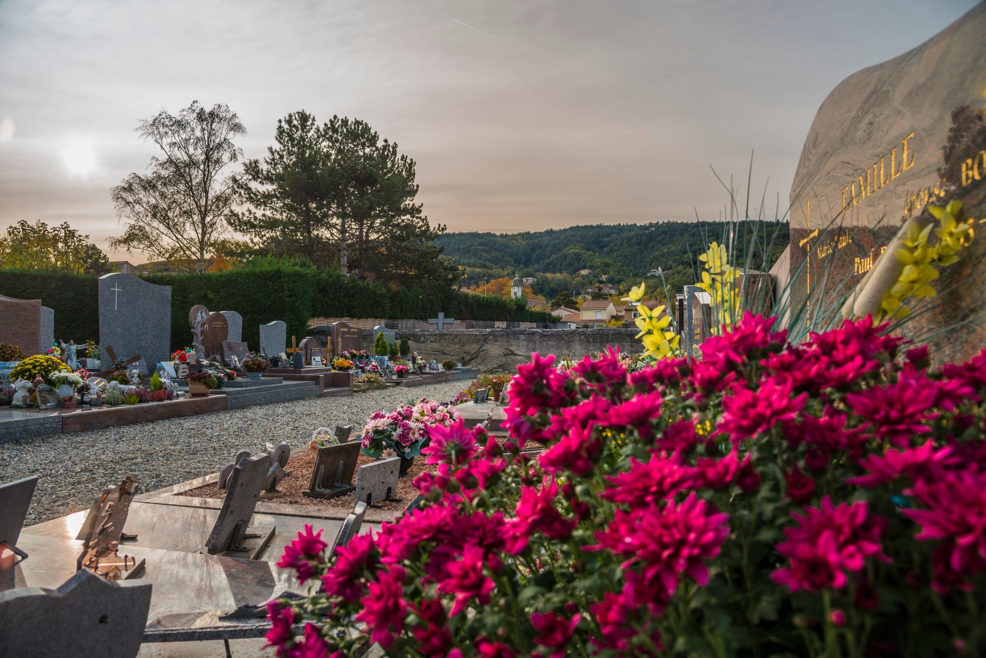 Tombes fleuries dans un cimetière au coucher du soleil, avec des fleurs rose vif au premier plan et des collines à l'horizon.