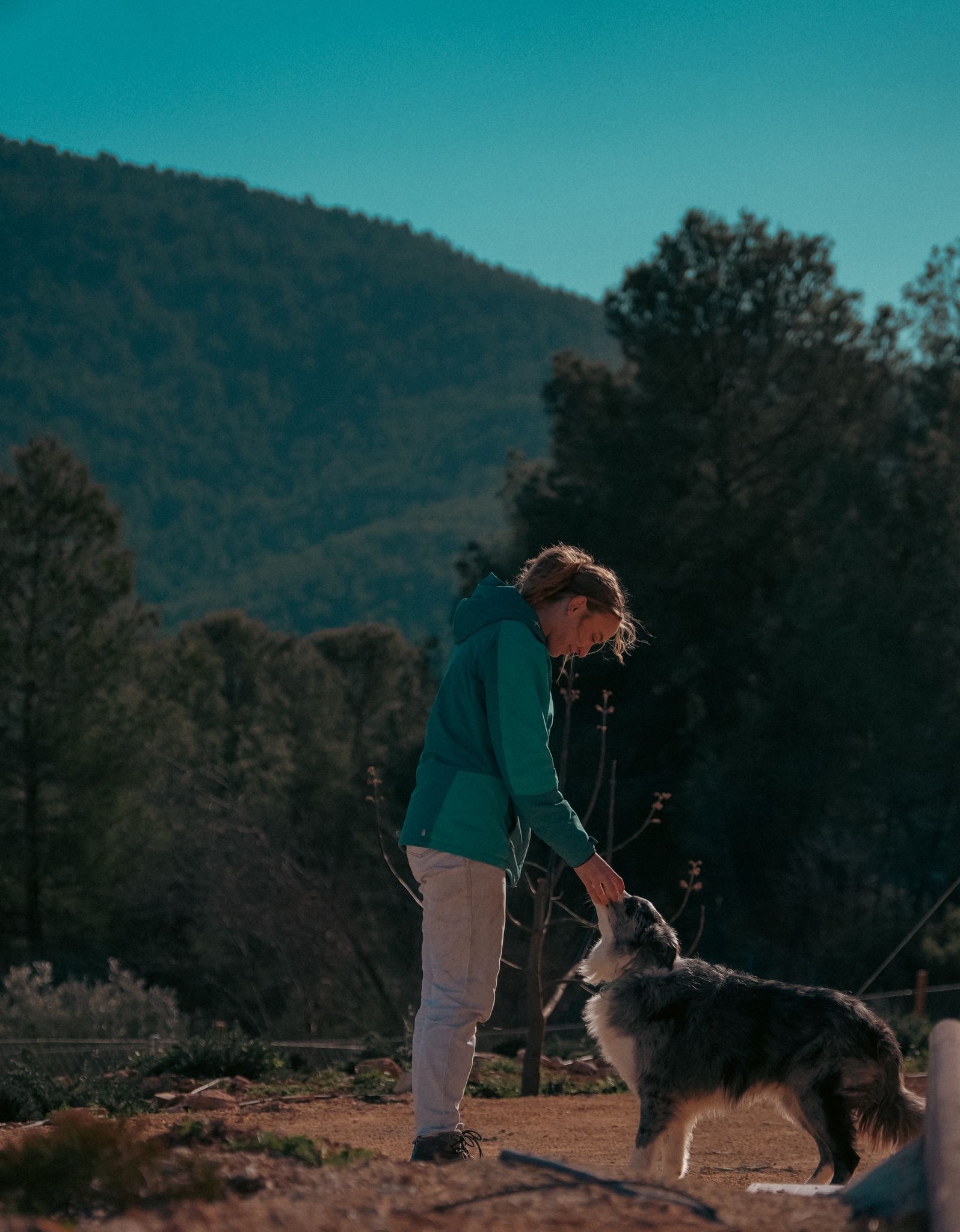 Una persona con una chaqueta turquesa acaricia a un perro peludo al aire libre con montañas de fondo.