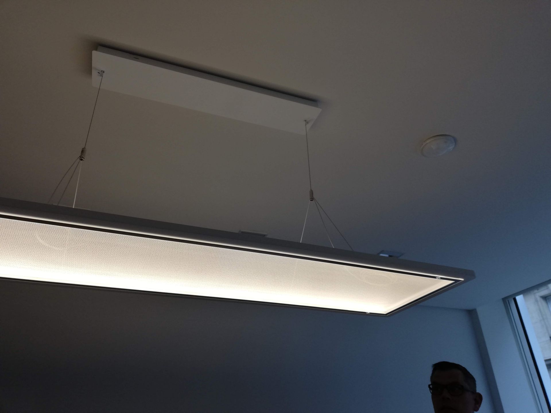 Un luminaire rectangulaire au néon suspendu au plafond.
