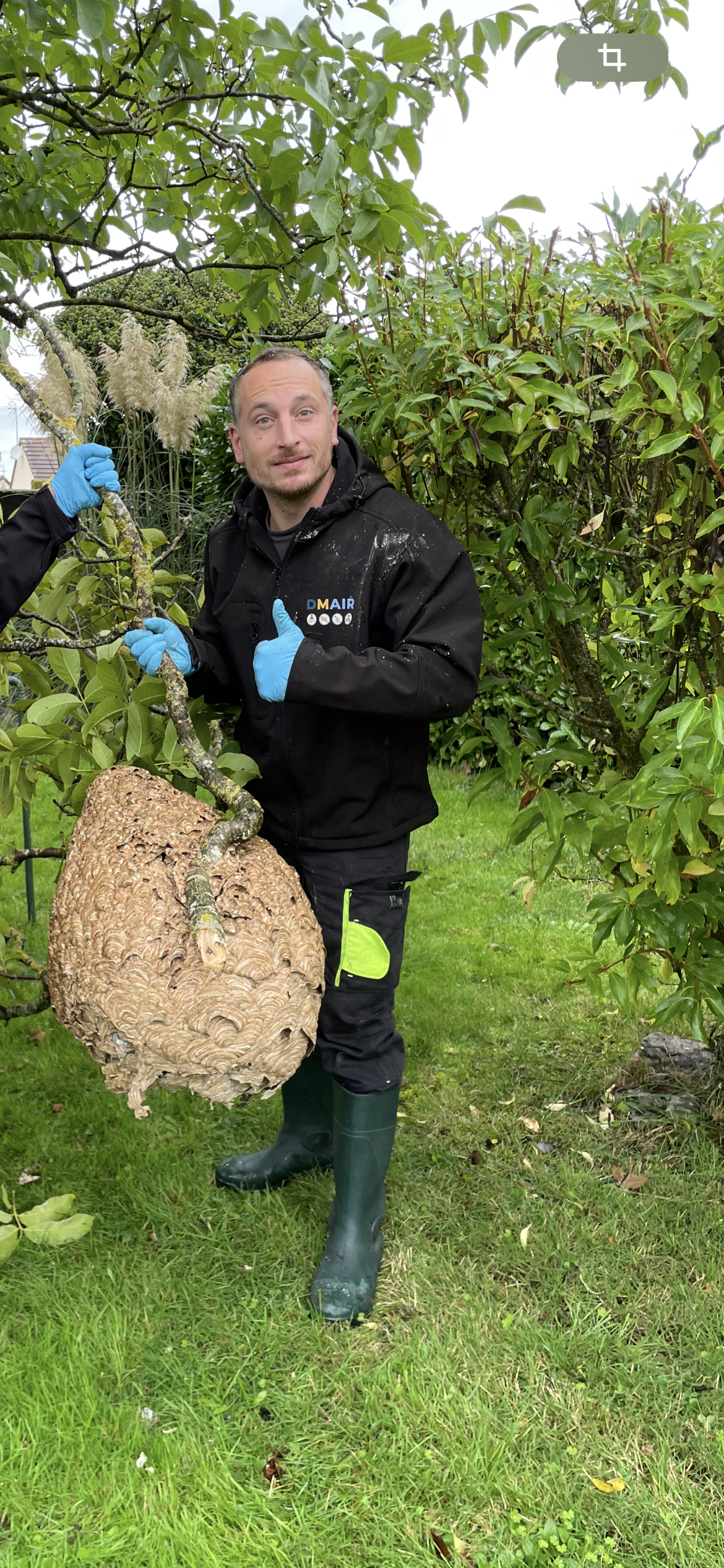 Un membre de l'équipe de DMAIR vêtu d'une veste noire et de gants bleus tient un gros nid de guêpes.
