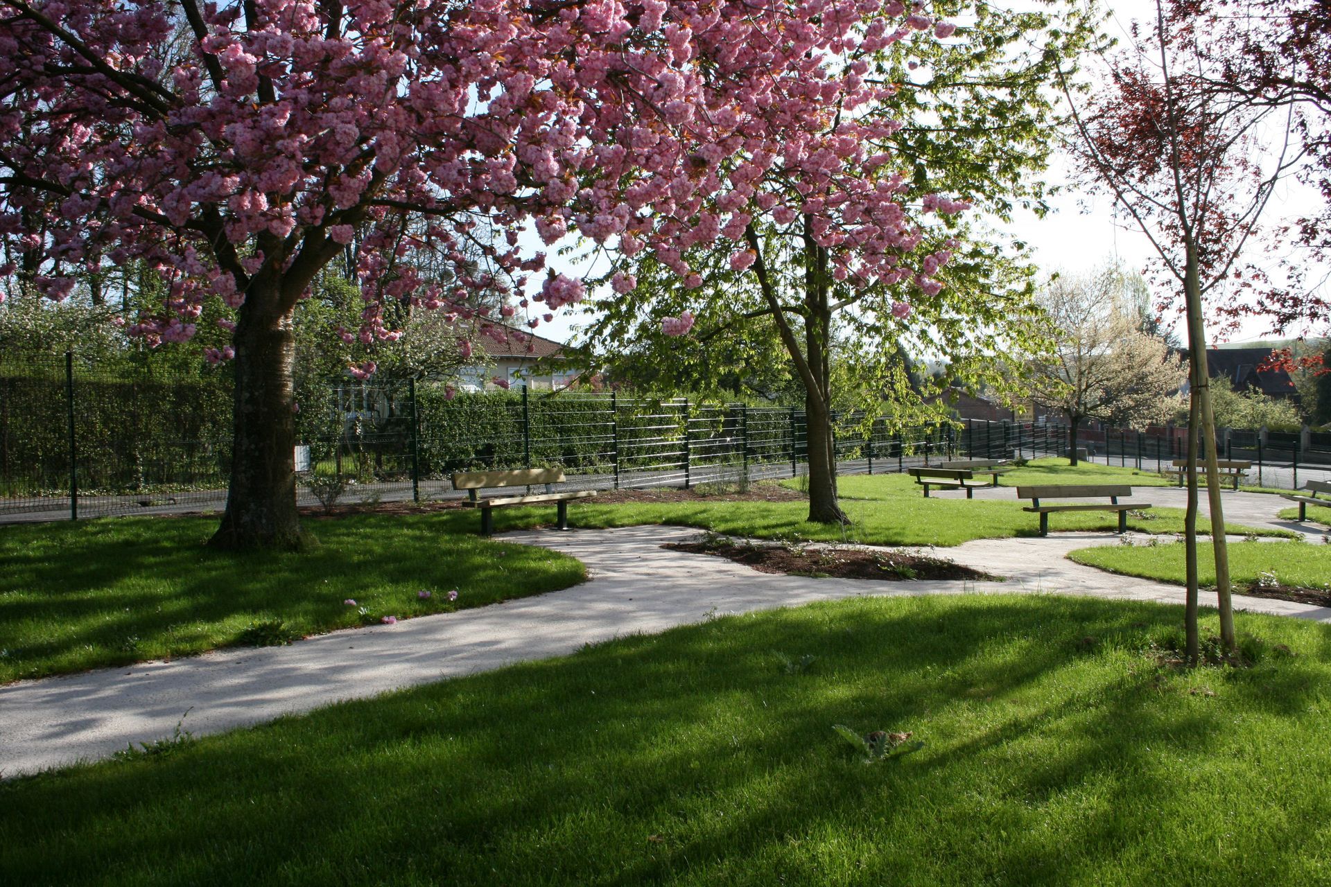 Création d'espace vert façon jardin japonais