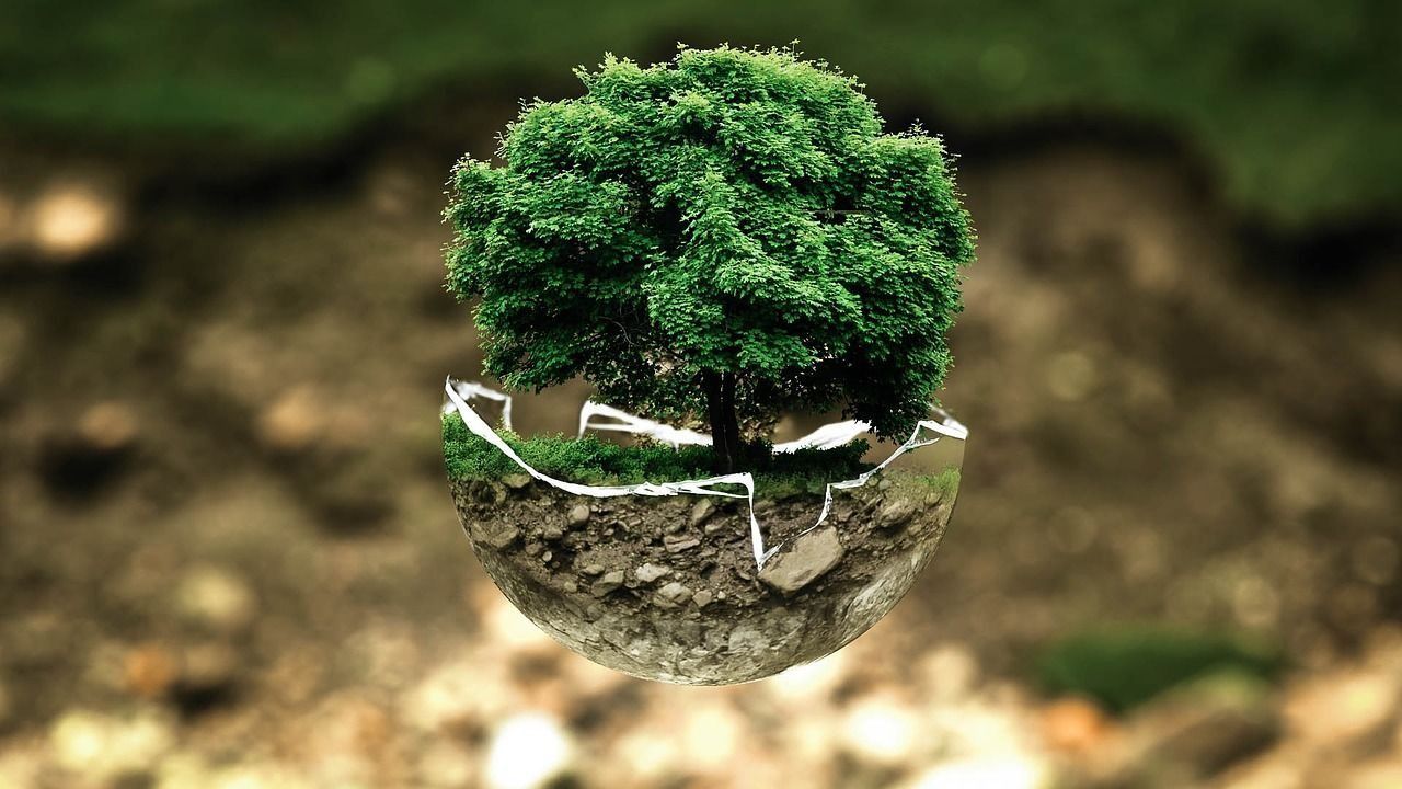 Un árbol está creciendo a partir de una esfera de tierra.