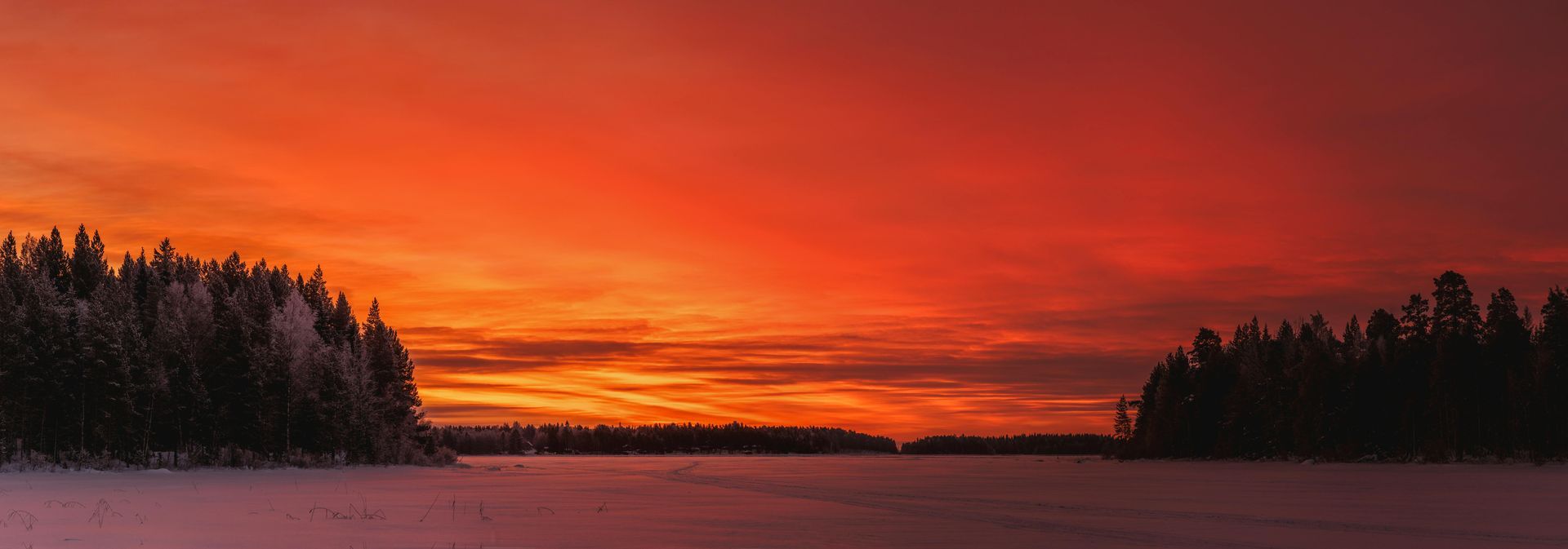 Perhe istumassa nuotiolla, AI-kuva