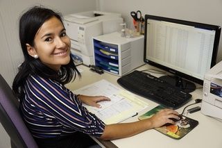 Baur Früchte & Gemüse GmbH