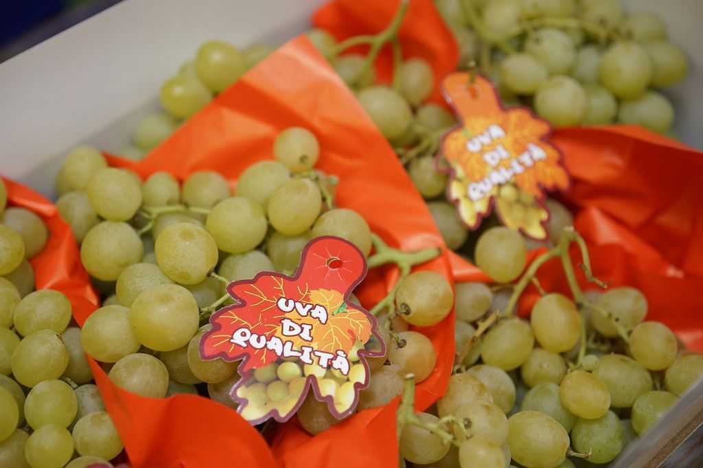 Trauben Baur Früchte und Gemüse GmbH