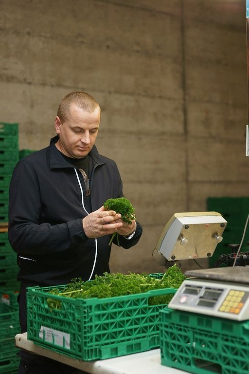 Der Gemüseverkauf wird aufbereitet