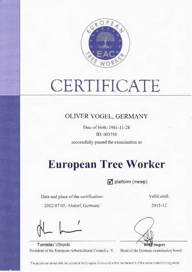 Oliver Vogel Baumdienst Kamenz TREEWORKER Vogel