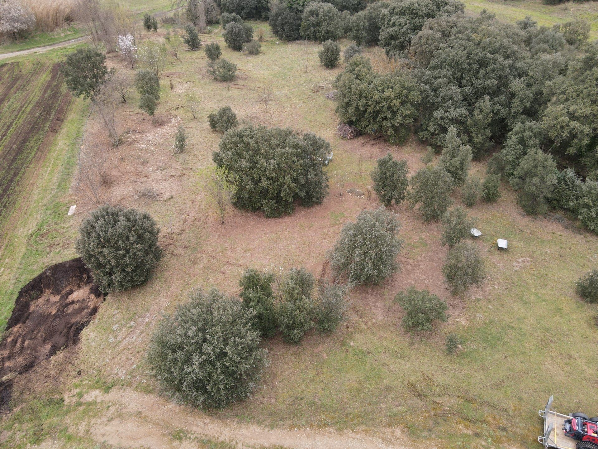 Débroussailleuse dans une parcelle à entretenir
