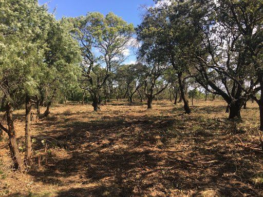 Engin débroussailleur 