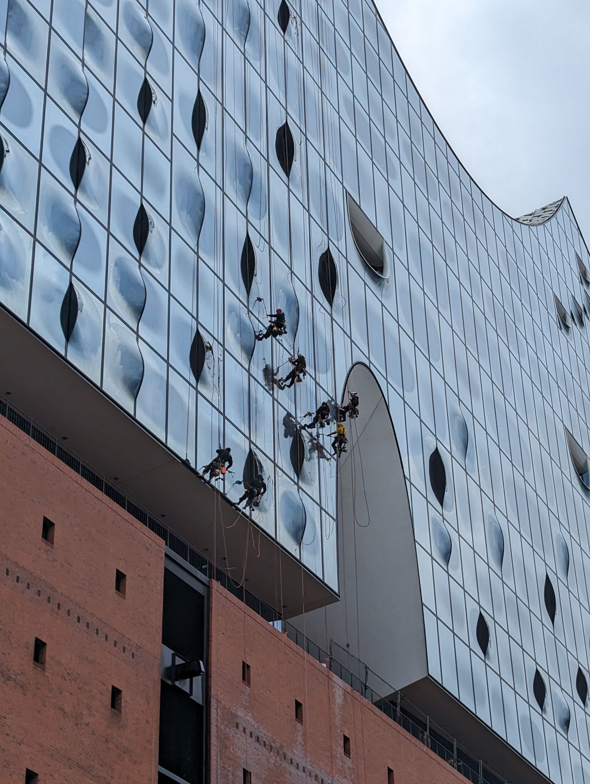 Arbeiter reinigen an Seilen die Glasfassade der Elbphilharmonie in Hamburg.