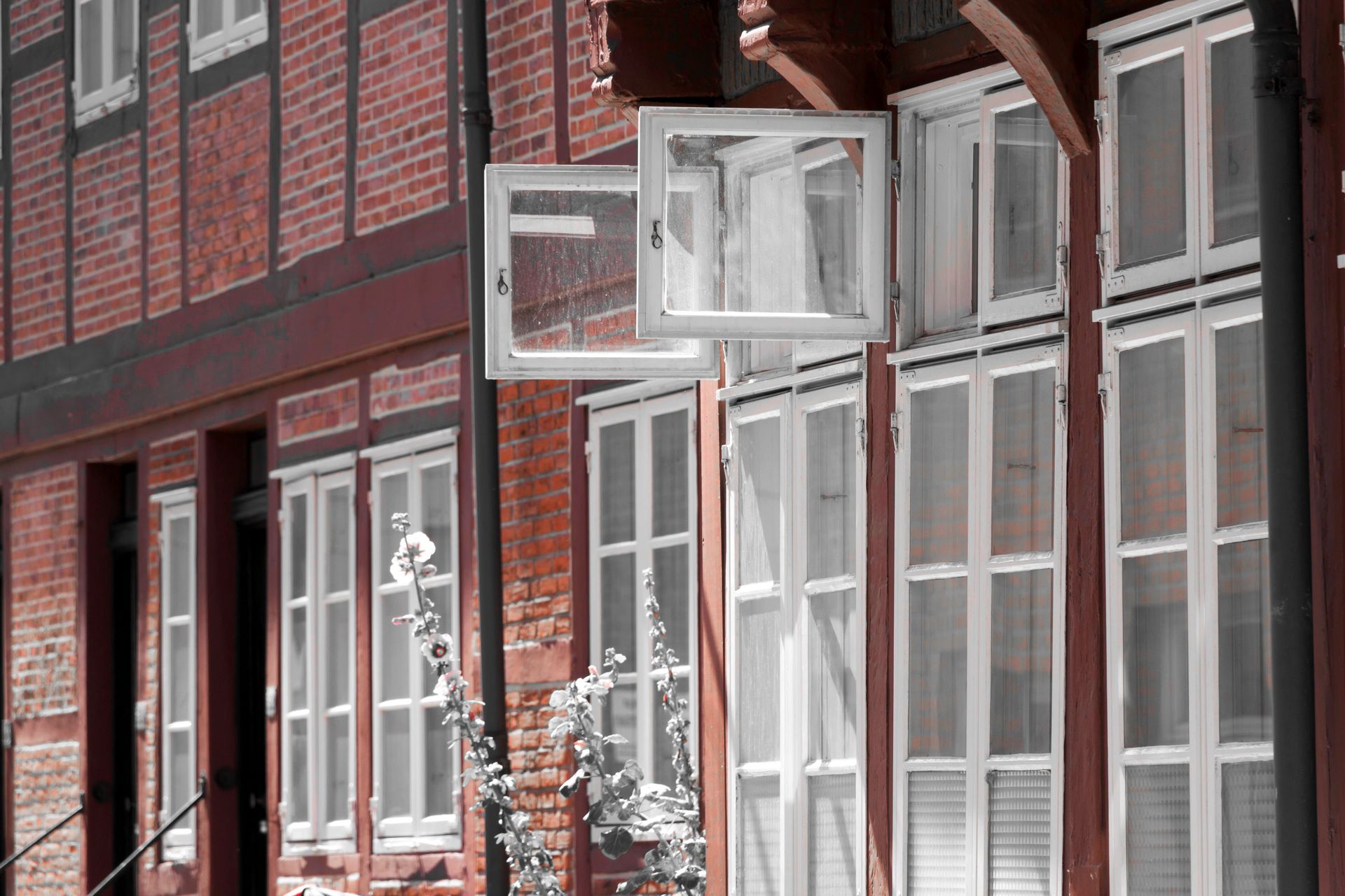 Brick building with white-framed windows, one window open.