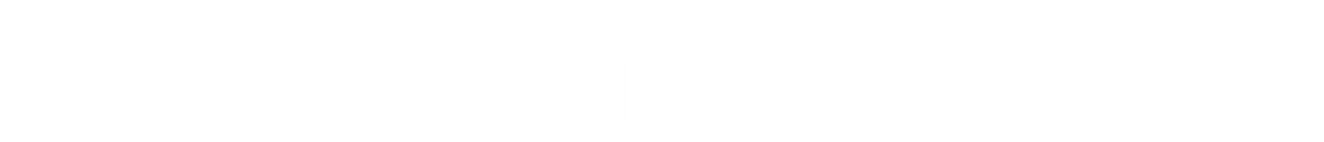 Die Hamburger Stadtführung mit dem Kiez-Kapitän von der Alster zur Speicherstadt, Hafencity und Elbphilharmonie.