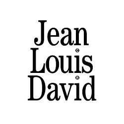 Logo de Jean Louis David