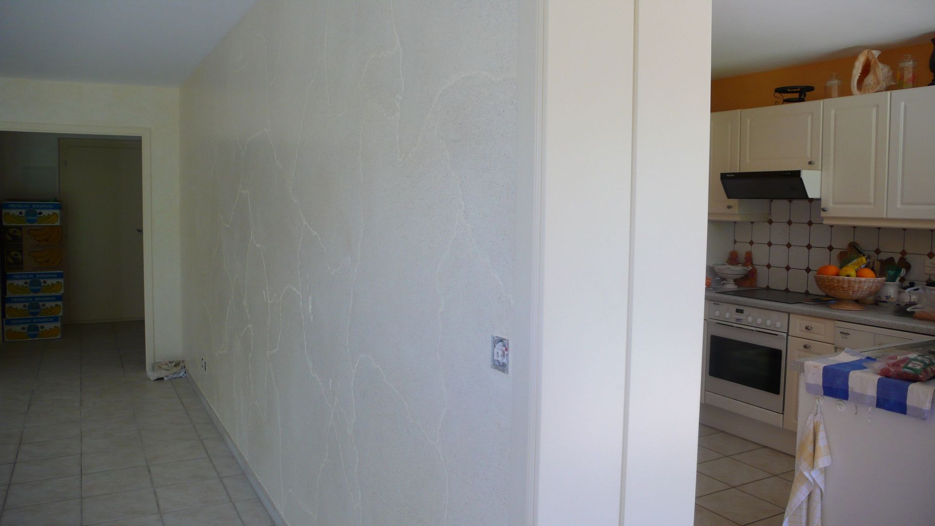 Rénovation - décoration intérieure- peinture EL PINTOR Genève