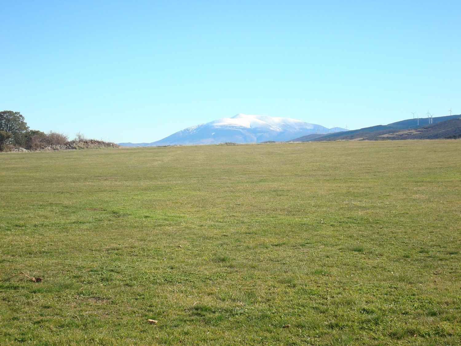 Un vasto campo verde bajo un cielo azul despejado, con una montaña nevada visible a lo lejos.