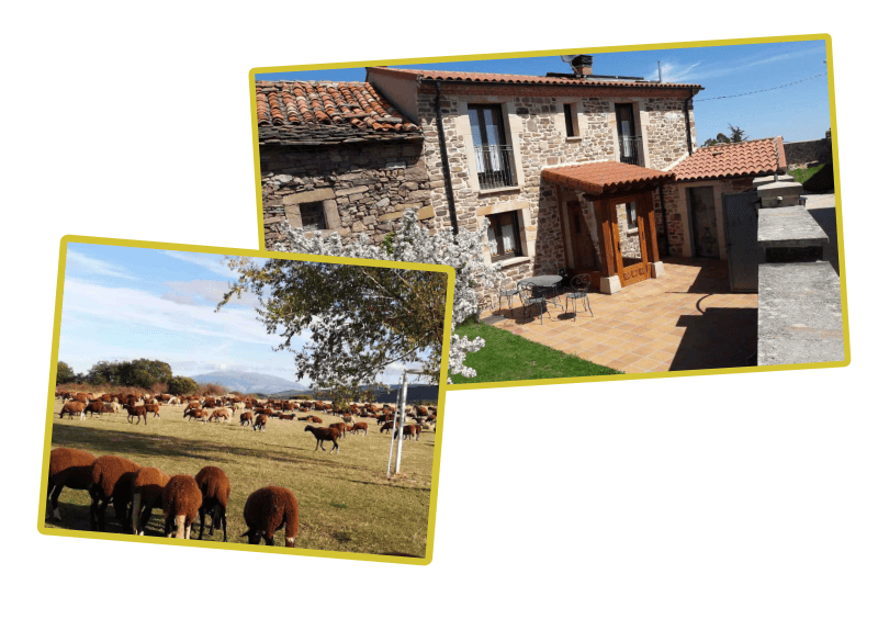 Un collage que muestra una casa rústica de piedra con un patio y un campo lleno de ganado pastando bajo un cielo azul.