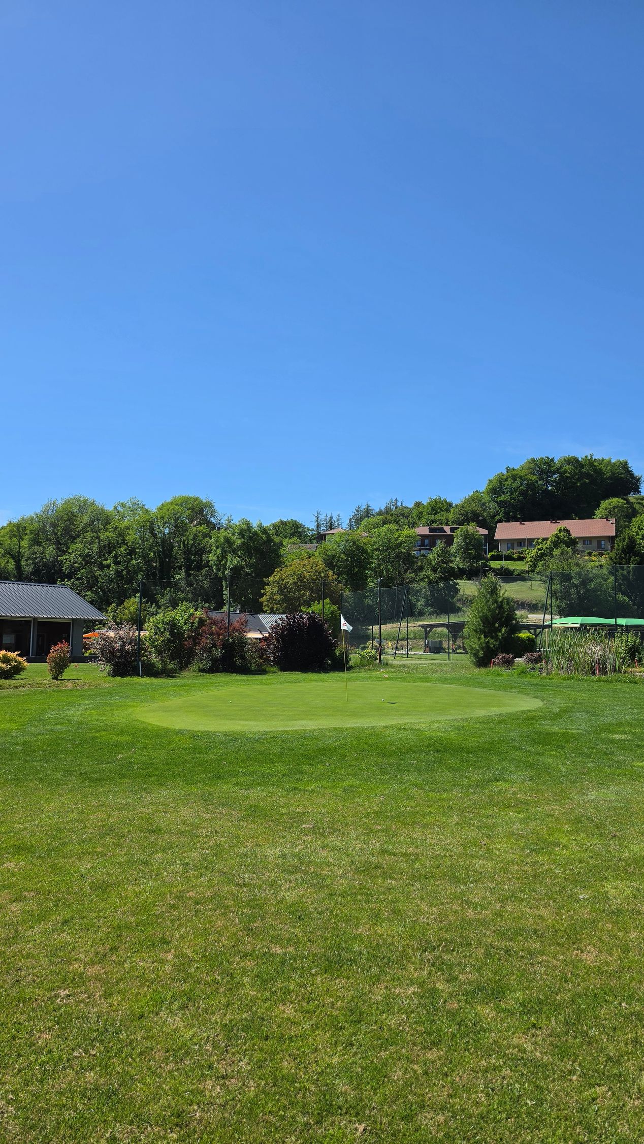 Champ ensoleillé et herbeux avec des arbres tropicaux, de petites maisons et un ciel bleu clair.