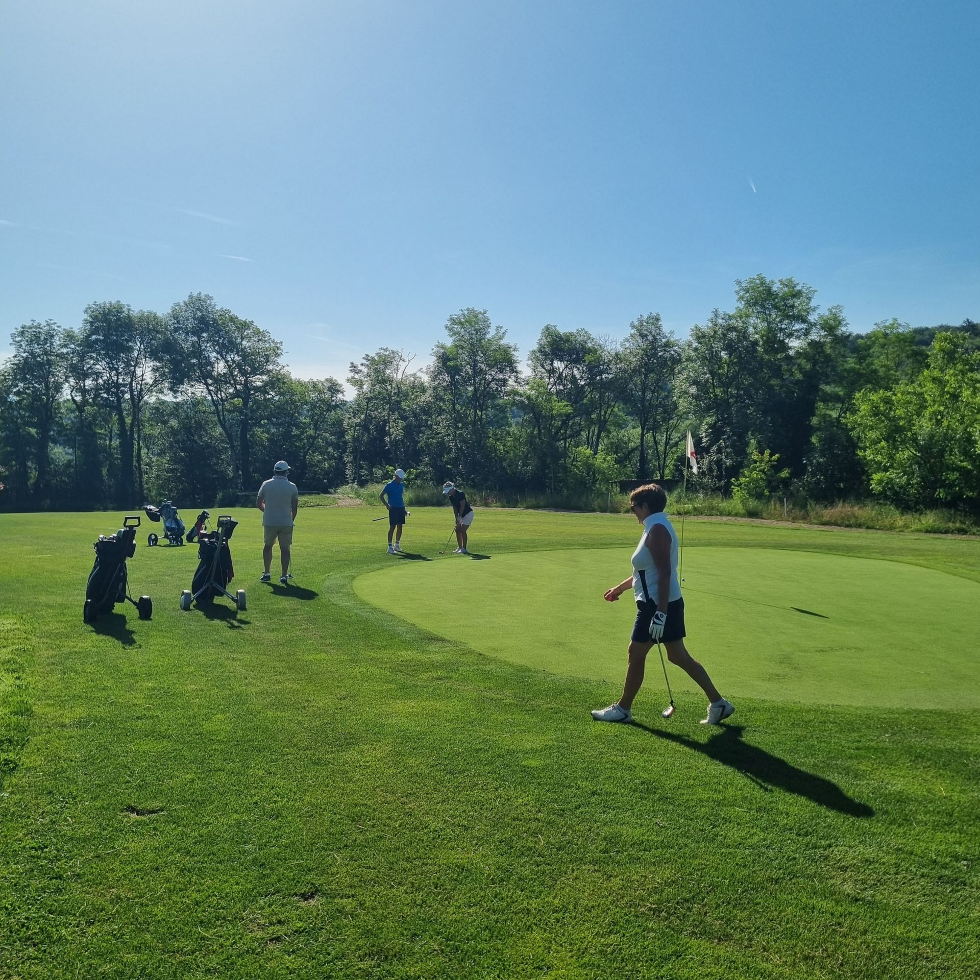 Des enfants jouent au cricket sur un terrain vert ensoleillé, avec des arbres en arrière-plan.