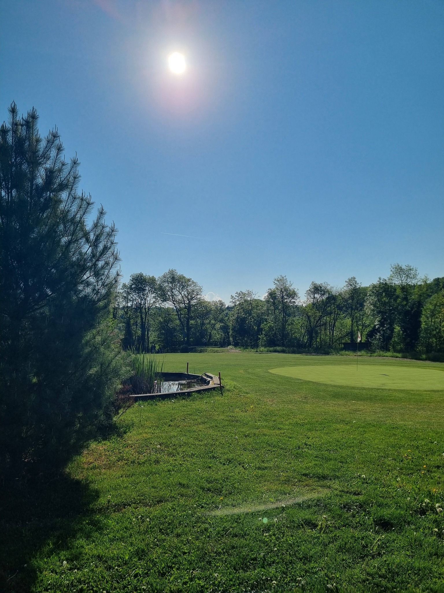 Parc ensoleillé et verdoyant, avec des arbres, une petite bordure de pierres et un ciel d'un bleu éclatant.