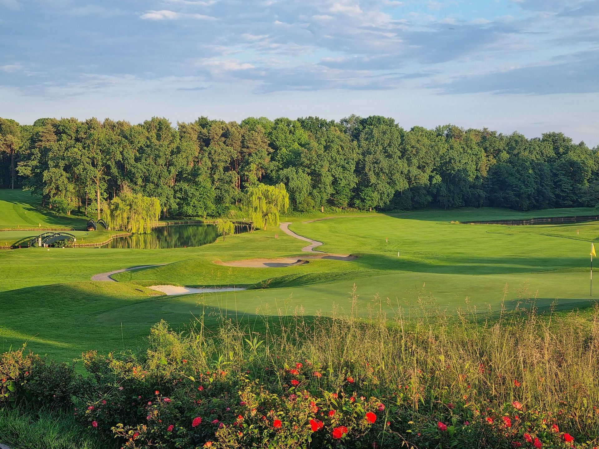 Terrain de golf verdoyant et ensoleillé, avec un chemin sinueux, des arbres et des fleurs rouges au premier plan.