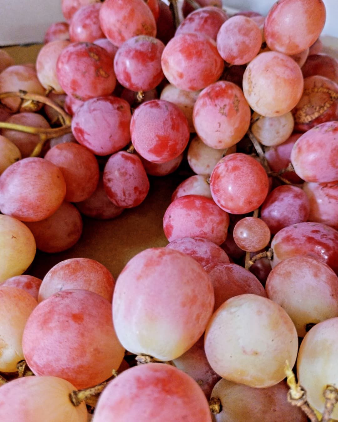 Primer plano de una pila de uvas rojas, algunas con la parte inferior pálida.
