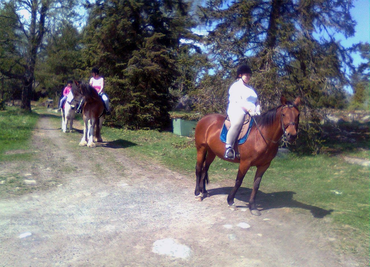 Fastighetssammanslutning Hummeldal