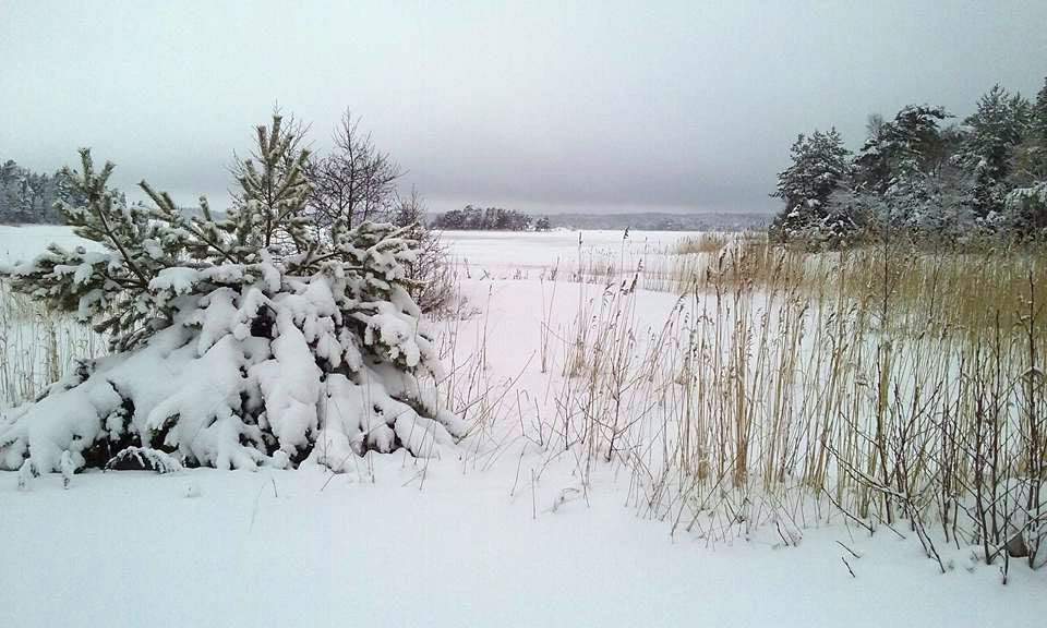Fastighetssammanslutning Hummeldal