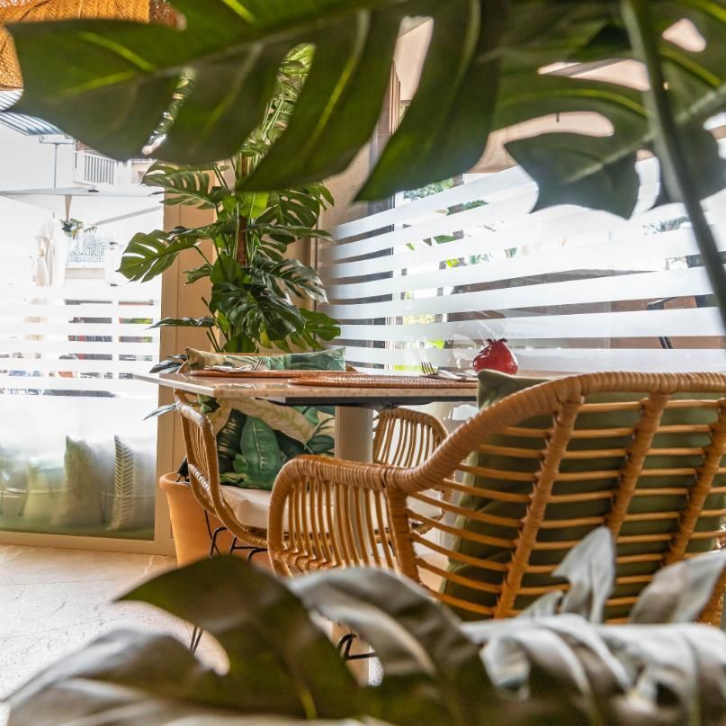 Silla y mesa de mimbre en una habitación iluminada por el sol, gran planta tropical en primer plano, ventana esmerilada.