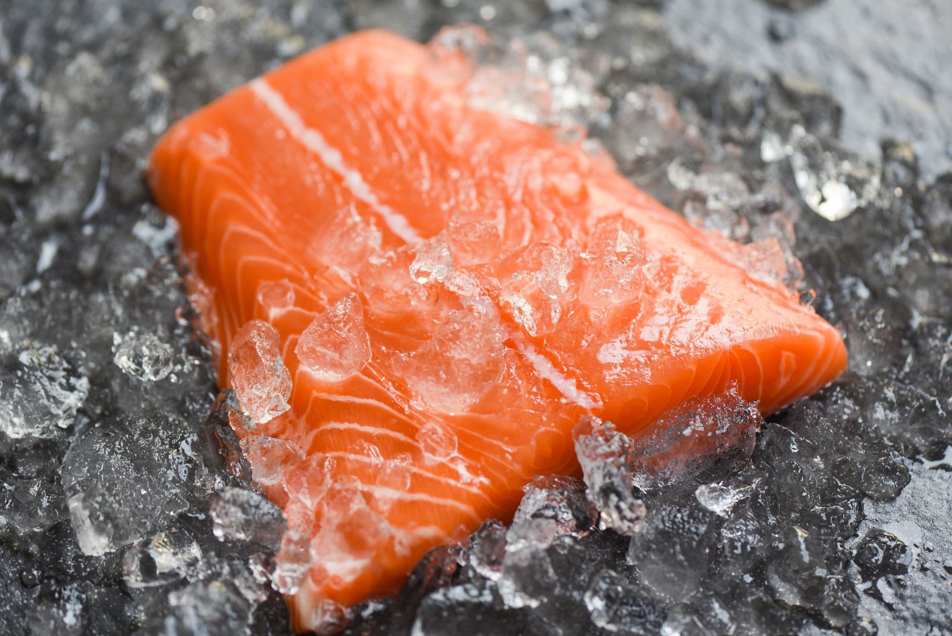 Filet de saumon sur de la glace en paillettes