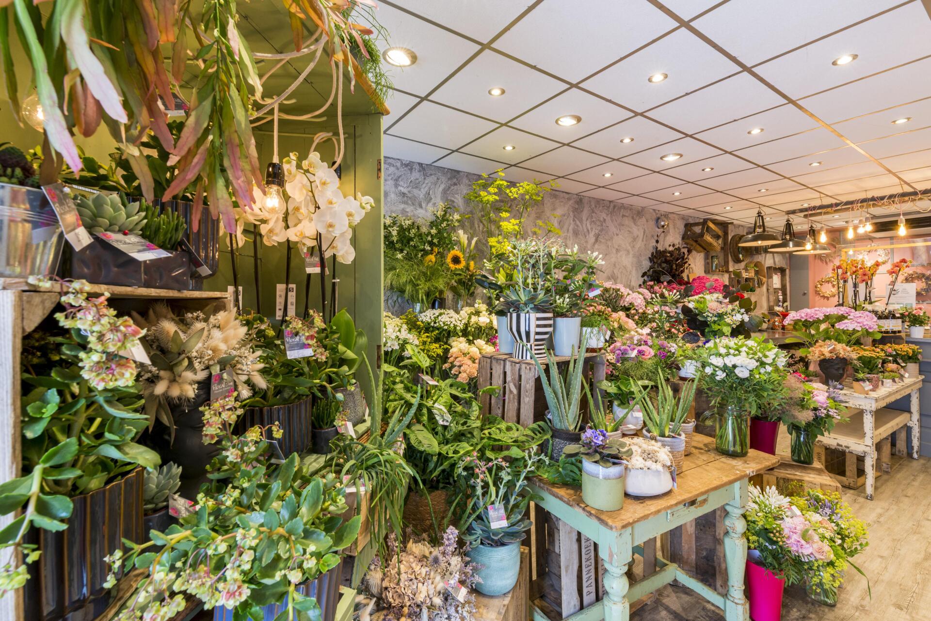 COMPOSITIONS EXCLUSIVES BOUTIQUE