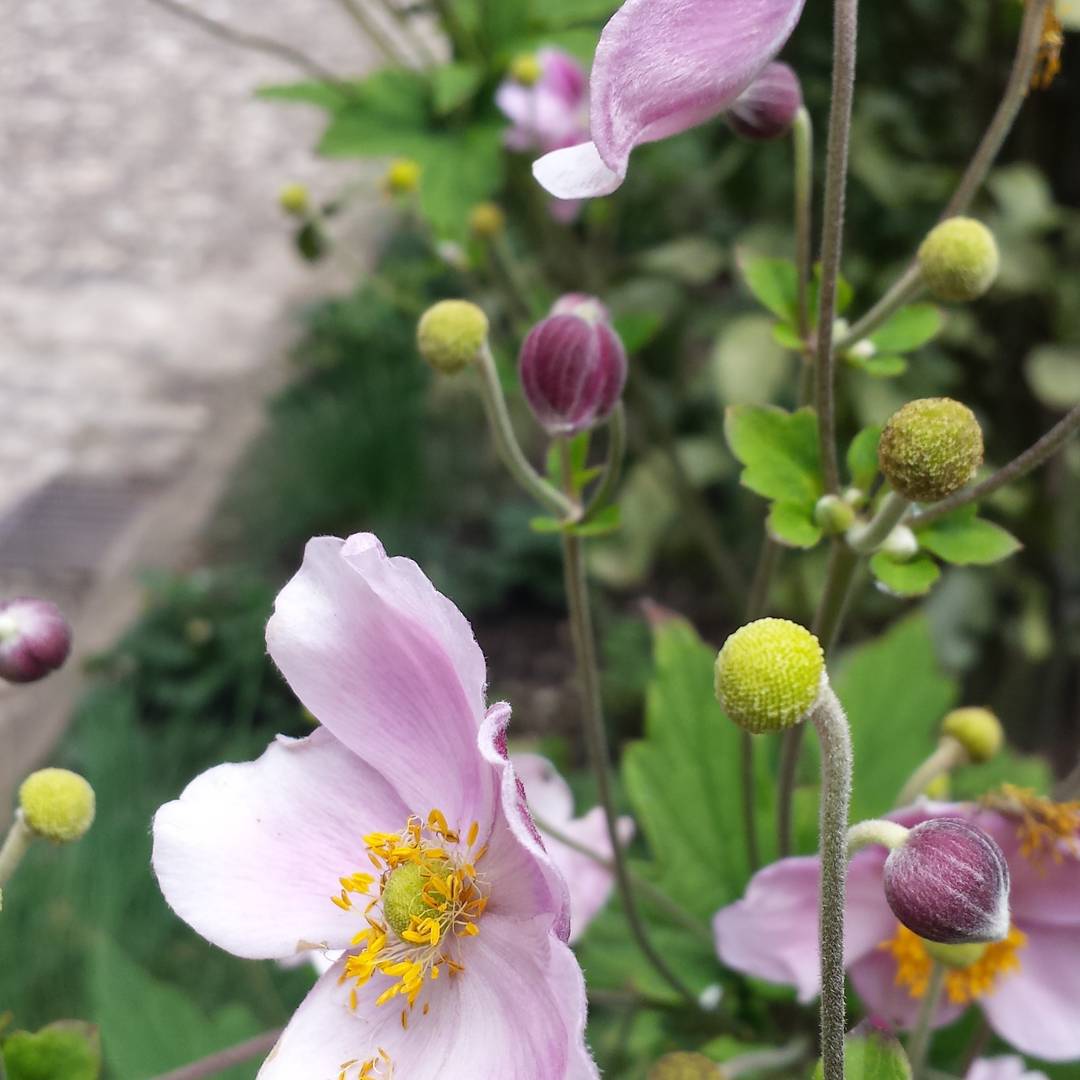 COMPOSITIONS EXCLUSIVES 3