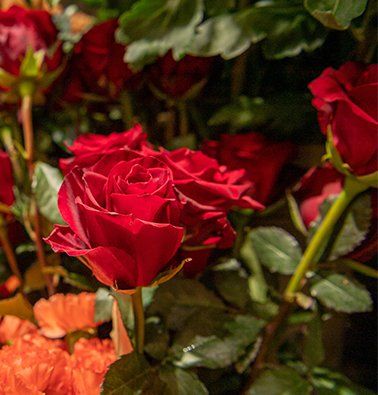 Composition deuil rouge