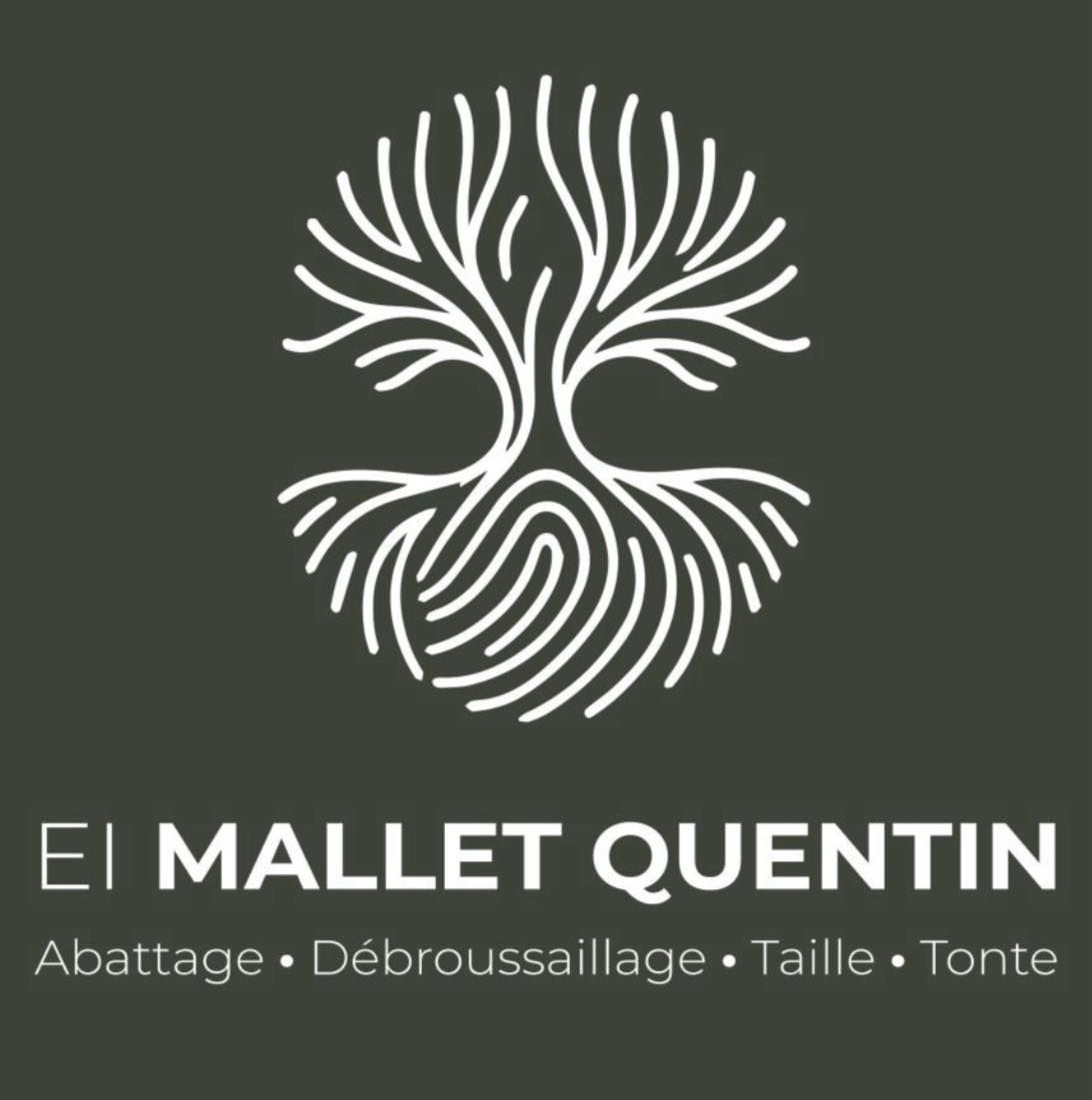 Logo de EI Mallet Quentin.