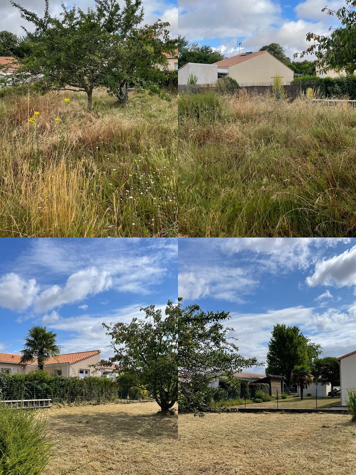 Avant et après dans le jardin : l’herbe envahissante a laissé place à une pelouse bien tondue et à un ciel dégagé.