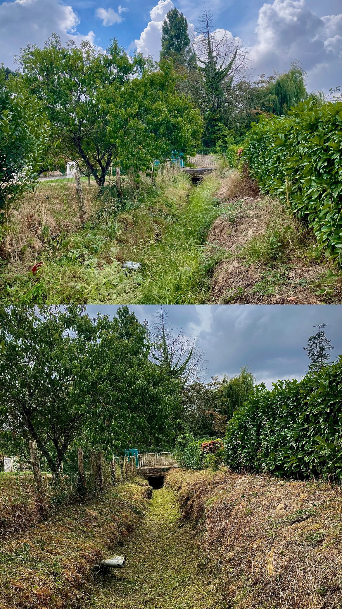 Deux vues d'un étroit chemin de terre traversant un verger verdoyant sous un ciel partiellement nuageux.