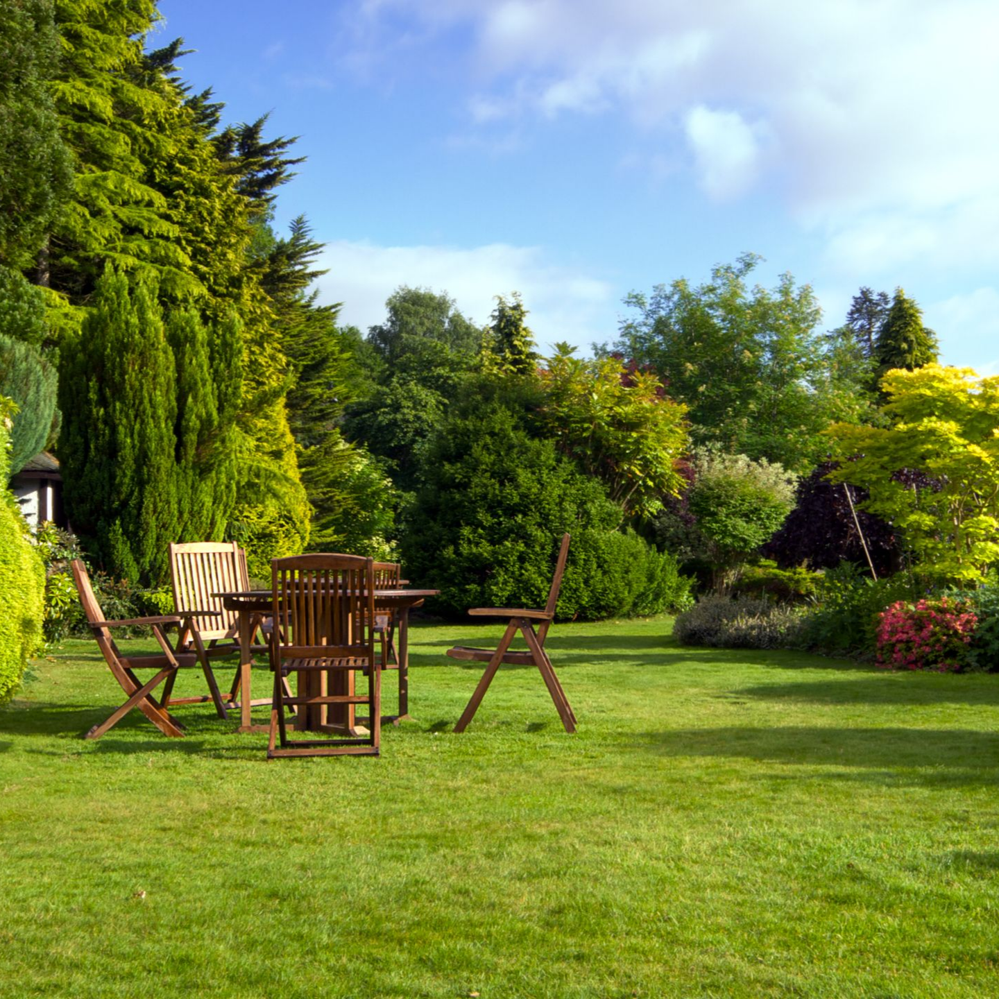 Des chaises de jardin en bois disposées autour d'une petite table sur une pelouse verdoyante et ensoleillée, bordée d'arbres et d'arbustes luxuriants.