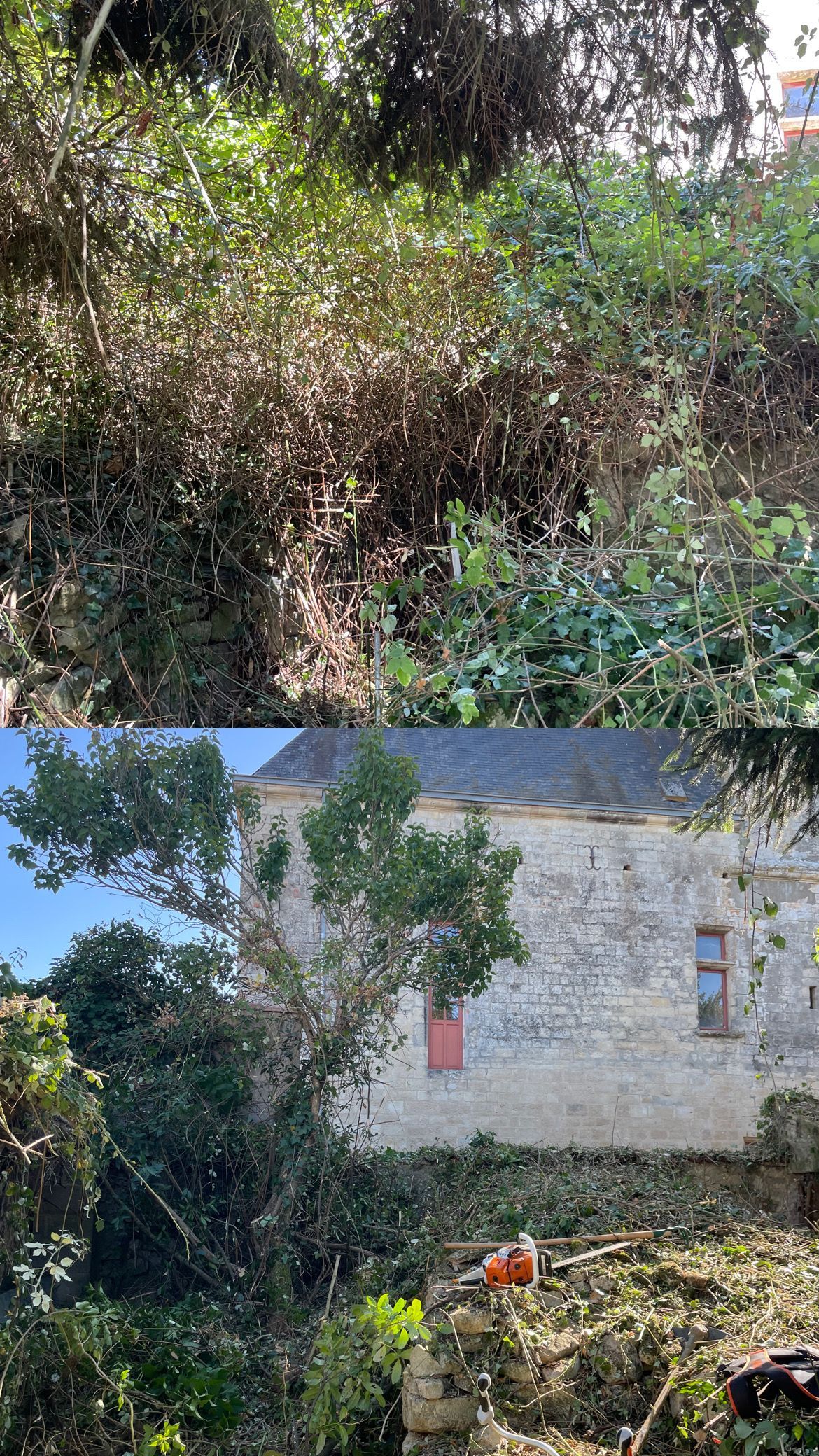 Jardin envahi par la végétation jouxtant une maison en pierre au toit bleu, baignée par la lumière du jour.